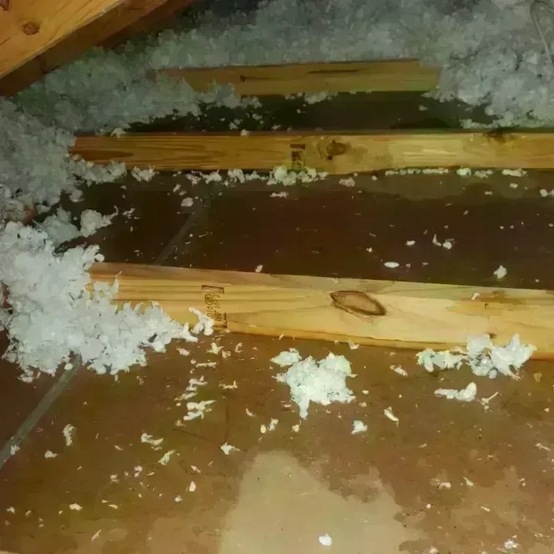 Attic Water Damage in Bay County, MI