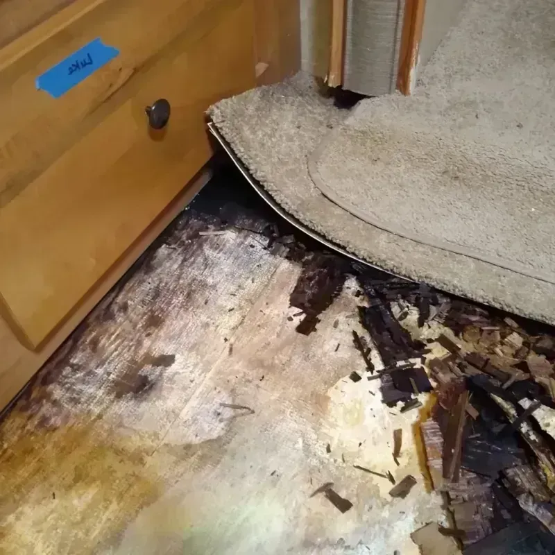 Wood Floor Water Damage in Bay County, MI